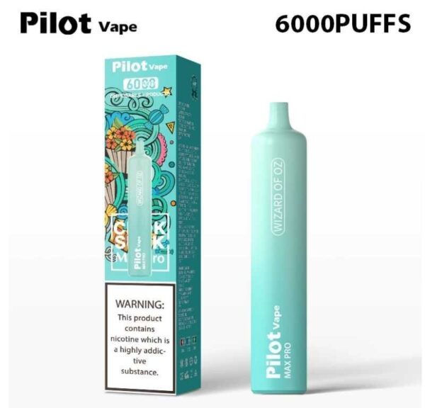 Pilot vape 6000puffs 飛行員拋棄式電子煙官網：圖片 5